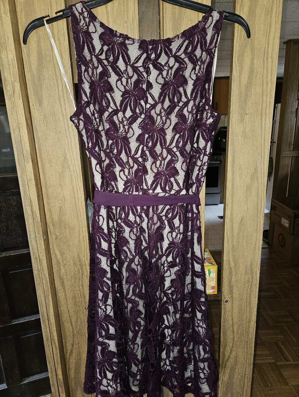 Danny and Nicole Sz 12 Eggplant/Beige Lace Sleeveless Fit & Flare Dress - Picture 2 of 3